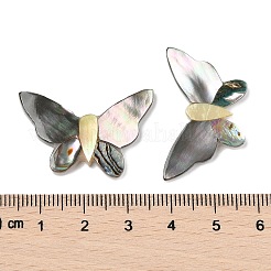 天然のブラックリップシェル、パウアシェル、イエローシェルのカボション  蝶  カラフル  22x31.5x3mm&nbsp;SSHEL-I026-25