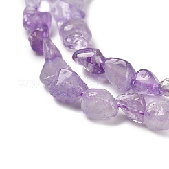 Natural Amethyst Beads Strands&nbsp;G-P497-01E-21