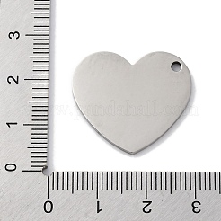 201 Stainless Steel Pendants&nbsp;STAS-Q342-23P