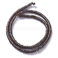 Natural Bronzite Bead Strands&nbsp;G-P444-06B