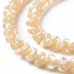 天然トロチッドシェル/トロカスシェルビーズ連売り  オーバル  6x3mm  穴：0.8mm  約173~174個/連  15.75インチ〜16.34インチ（40~41.5cm）&nbsp;SSHEL-N034-104-A01
