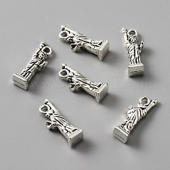 Tibetan Style Alloy Charm&nbsp;FIND-CJC0006-22AS