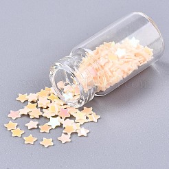 Glass Wishing Bottle Pendant Decorations&nbsp;X-GGLA-S036-05