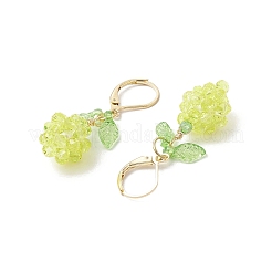 Acrylic Glass Leverback Earrings&nbsp;EJEW-MZ00443