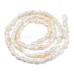 Natural Cultured Freshwater Pearl Beads Strands&nbsp;PEAR-N012-02F