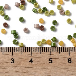 Baking Paint Glass Seed Beads&nbsp;SEED-S042-05A-12