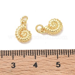 Brass Charms&nbsp;KK-E797-03C-G