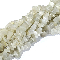 ナチュラルホワイトムーンストーンチップビーズ連売り  4~14x4~12mm  穴：1mm  約15.3インチ〜16.1インチ&nbsp;G-E271-112