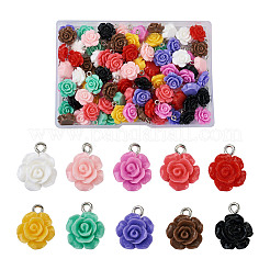 Opaque Resin Pendants&nbsp;RESI-CD0001-02