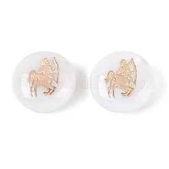 Natural Freshwater Shell Beads&nbsp;SHEL-N037-02I-G