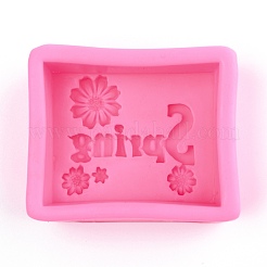 Word Spring Silicone Molds&nbsp;X-DIY-R078-21