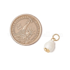 Natural Freshwater Pearl Pendants&nbsp;PALLOY-JF03398