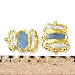 Rack Plating Brass Connector Charms&nbsp;KK-K348-16G
