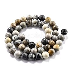 Round Natural Polychrome Jasper/Picasso Stone/Picasso Jasper Beads Strands&nbsp;X-G-O199-03B