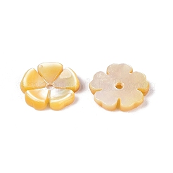Natural Yellow Shell Carved Beads&nbsp;SHEL-Q028-04