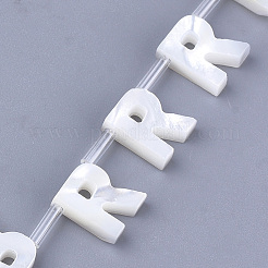 Natural Sea Shell Beads&nbsp;SHEL-T012-60R