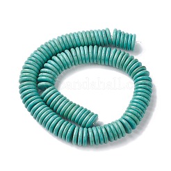 Synthetic Turquoise Beads Strands&nbsp;G-P505-09A