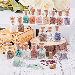19Pcs Various Gemstone No Hole Chips in Bottles&nbsp;G-PH0034-50