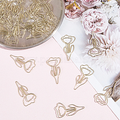 60Pcs Iron Paperclips&nbsp;OFST-SP0001-07