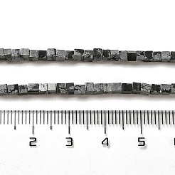 Natural Snowflake Obsidian Beads Strands&nbsp;G-B064-A34