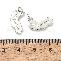 真鍮チャーム  カリフォルニアチャームの文字が入ったナゲット  長持ちメッキ  ラックめっき  鉛フリー＆カドミウムフリー  プラチナ  11x17x2.5mm  丸カン：5x1ミリ  3mm内径&nbsp;KK-D229-22W-P