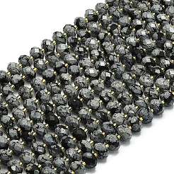 Natural Snowflake Obsidian  Beads Strands&nbsp;G-P573-A49-01