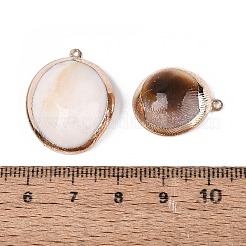 電気メッキ天然貝殻ペンダント  貝殻の形のチャーム  鉄製のループと真鍮製の金具付き  フローラルホワイト  ライトゴールド  20~28x15~21x6~10mm  穴：1~1.5mm&nbsp;SSHEL-Q100-13KCG