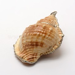 Mixed Shapes Natural Spiral Shell Pendants&nbsp;SSHEL-E556-01