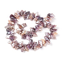天然バロックケシパールビーズ  有核真珠  スター  トップ掘削  アザミ  12.5~18.5x7.5~13x3~7.5mm  穴：0.6mm&nbsp;PEAR-S022-02C