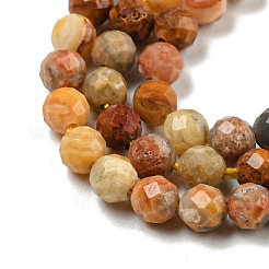 Natural Crazy Lace Agate Beads Strands&nbsp;X-G-A129-3mm-17