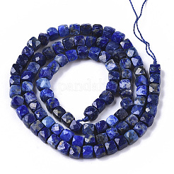 Natural Lapis Lazuli Beads Strands&nbsp;LS-G-R460-038