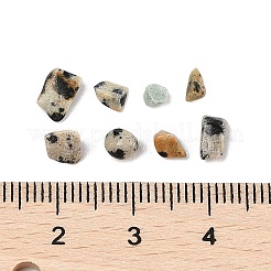 Pandahall Natural Dalmatian Jasper Chip Beads&nbsp;G-M055-04