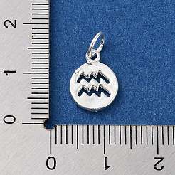 スターリングシルバーの星座チャーム925個  丸カン付き  銀色のメッキ  水瓶座  12x9x1.5mm  穴：3.5mm&nbsp;STER-M118-01E