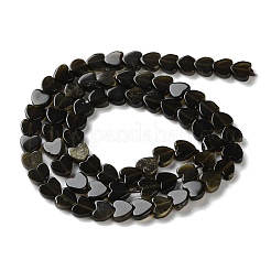 Natural Golden Sheen Obsidian Beads Strands&nbsp;G-M403-A46-02