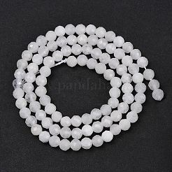 Natural Rainbow Moonstone Beads Strands&nbsp;G-F798-A04-02