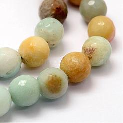 Faceted Natural Flower Amazonite Beads Strands&nbsp;G-F364-13-10mm