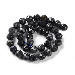 Natural Larvikite Beads Strands&nbsp;G-NH0021-A04-02