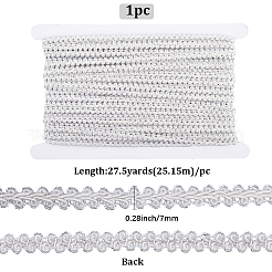 27.5Yards Polyester Lace Trim Ribbon&nbsp;OCOR-GF0004-81A
