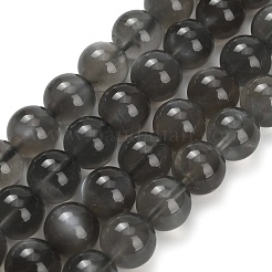 Natural Black Moonstone Beads Strands&nbsp;G-L631-A05-10mm