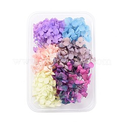 Dried Flowers&nbsp;DIY-D052-17