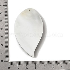 Natural Freshwater Shell & Paua Shell & White Shell Big Pendants&nbsp;SHEL-C009-03