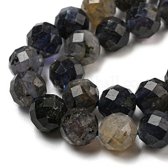 Natural Iolite Beads Strands&nbsp;G-A097-A14-09