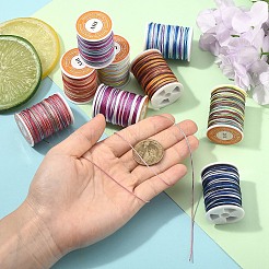 9 Rolls 9 Colors Segment Dyed Polyester Thread&nbsp;NWIR-YW0001-14