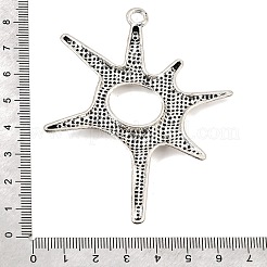Tibetan Style Alloy Big Pendants&nbsp;AL-CBA5940-02AS