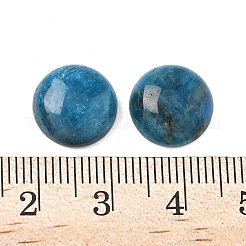 天然アパタイトカボション  半円/ドーム  11.5~12x4.5~5.5mm&nbsp;G-S398-01B-04
