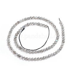 天然石ラブラドライトビーズ連売り  フラットラウンド  ファセットコインビーズ  4x2~3mm  穴：0.8mm  約88個/連  14.57インチ（37cm）&nbsp;G-E560-C08-4mm