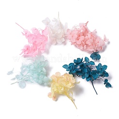 ドライフラワー  DIYキャンドルソープ作りアクセサリー  プラスチック製の長方形の箱付き  ミックスカラー  5.3~7x5.2~7cm&nbsp;X-DIY-D052-17