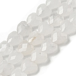 Natural Quartz Crystal Beads Strands&nbsp;G-P544-E14-01