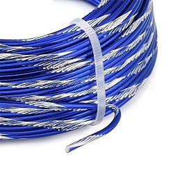 Two Tone Aluminum Wire&nbsp;AW-CBA2D89-01D