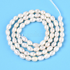 Natural Cultured Freshwater Pearl Beads Strands&nbsp;PEAR-N024-04-2AB